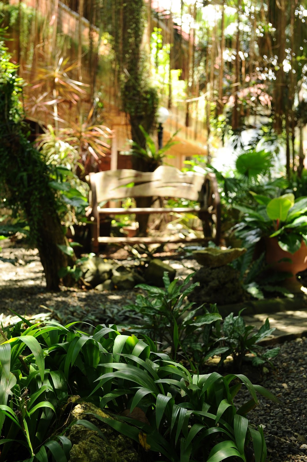 Alona Tropical Beach Resort bec...